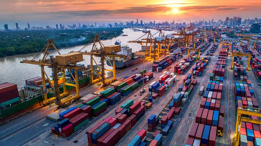 Một cổ phiếu xuất nhập khẩu giảm sàn 5 phiên sau tin xấu