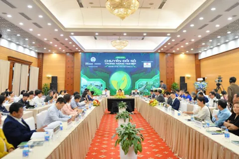 Chuyển đổi số trong nông nghiệp: “Chìa khóa vàng” để hợp tác xã Việt Nam bước vào nền kinh tế số