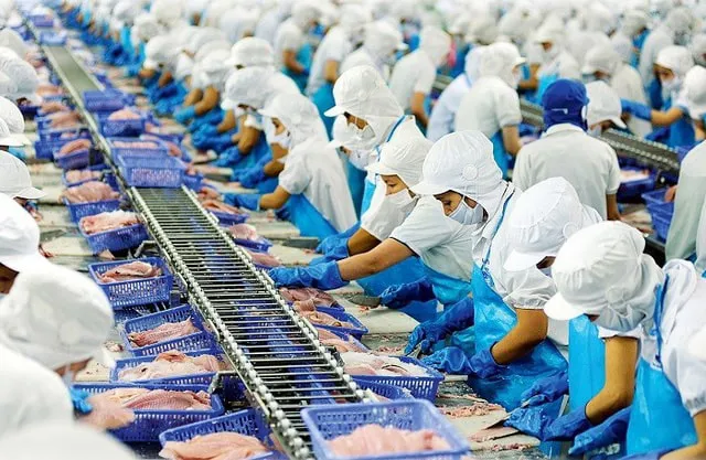 Bất chấp thị trường giảm sâu, một cổ phiếu thủy sản vẫn tím trần liên tiếp