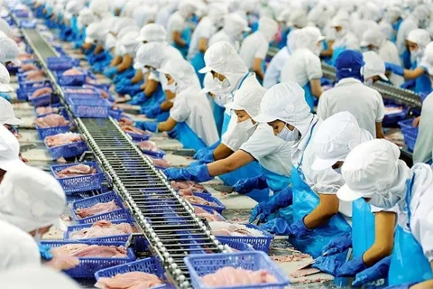 Bất chấp thị trường giảm sâu, một cổ phiếu thủy sản vẫn tím trần liên tiếp