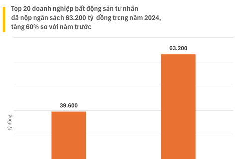 Doanh nghiệp bất động sản tư nhân nộp ngân sách “khủng”: những cái tên vừa lạ, vừa quen
