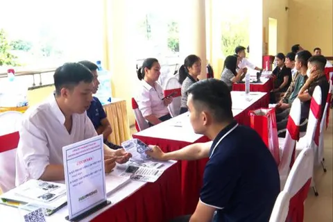 Kết nối doanh nghiệp, mở rộng cơ hội việc làm bền vững