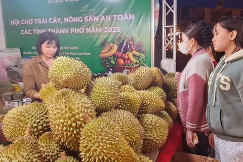 Hà Nội, khai mạc Hội chợ trái cây, nông sản an toàn 2025
