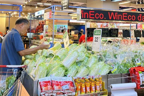 Phát triển hệ thống bán lẻ nông thôn: “cuộc đua” hàng Việt chinh phục người tiêu dùng