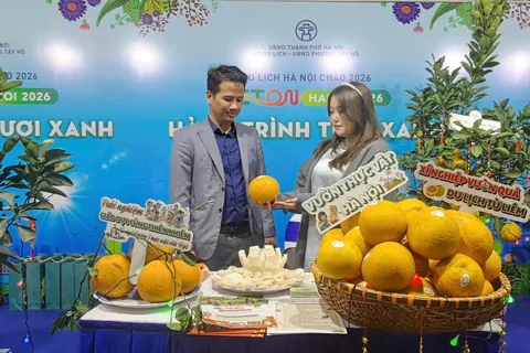 Hà Nội đẩy mạnh du lịch xanh, sẵn sàng bứt tốc năm 2026