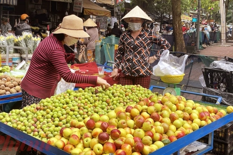 Đào mận Trung Quốc núp bóng nông sản Việt Nam