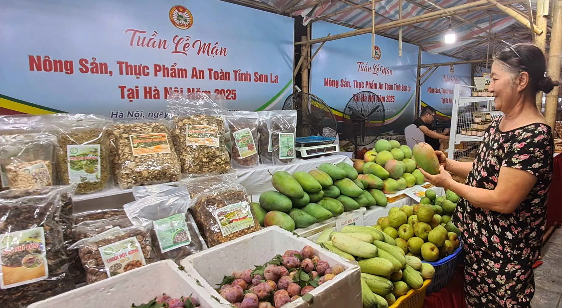 Hình ảnh 1