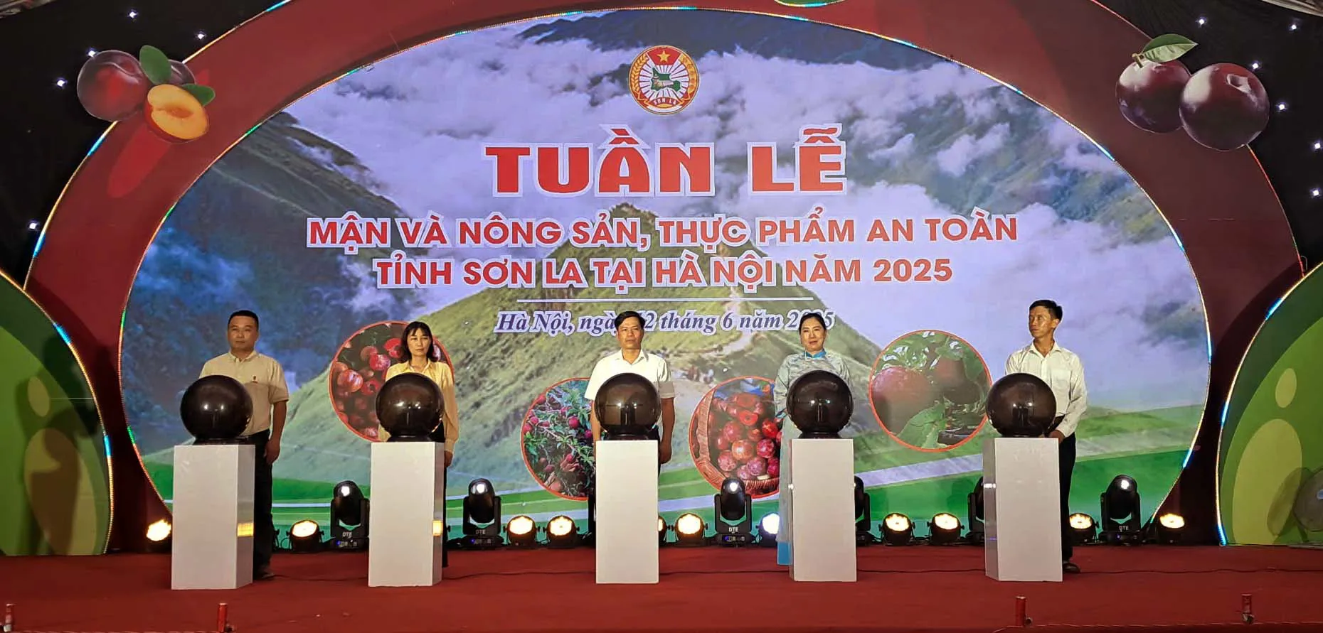 Hình ảnh 2