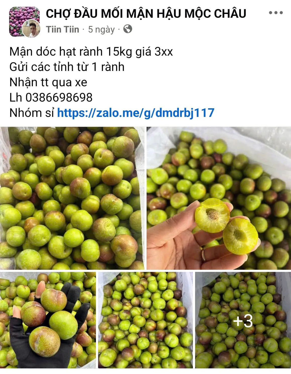 Hình ảnh 2