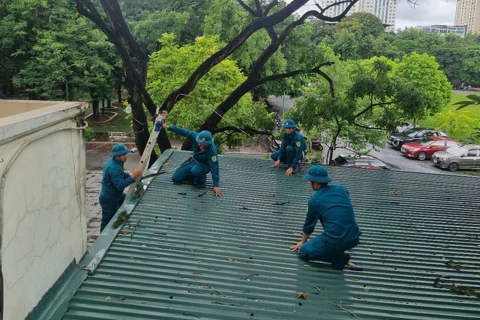 Phường Nghĩa Đô: sẵn sàng ứng phó với bão số 3
