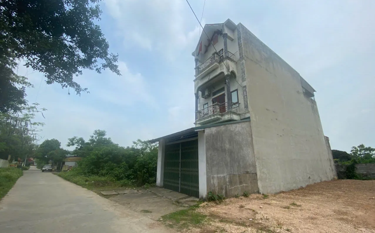 Hình ảnh 3