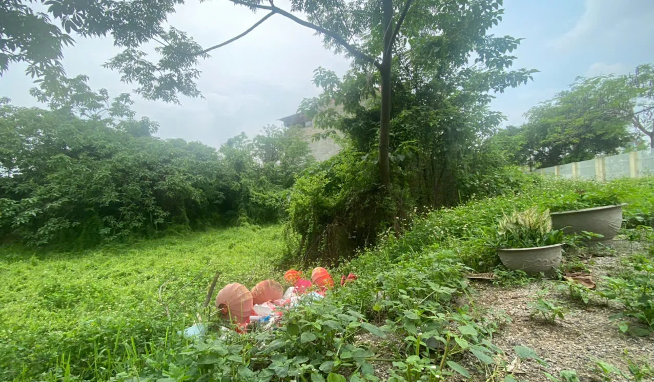 Hình ảnh 1