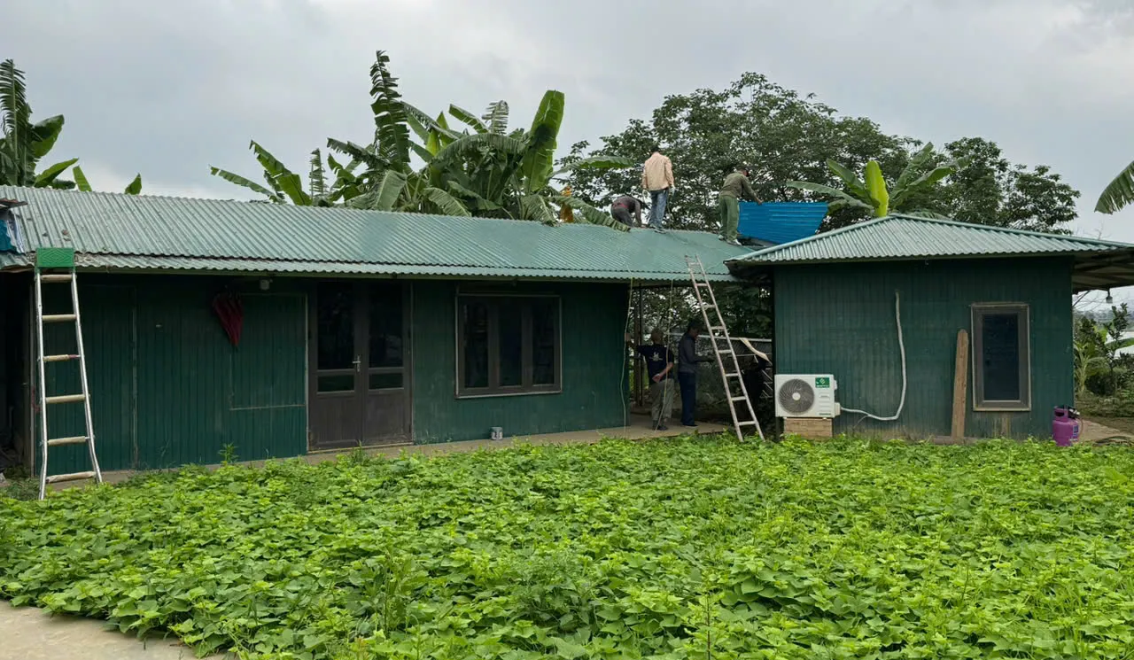 Hình ảnh 2