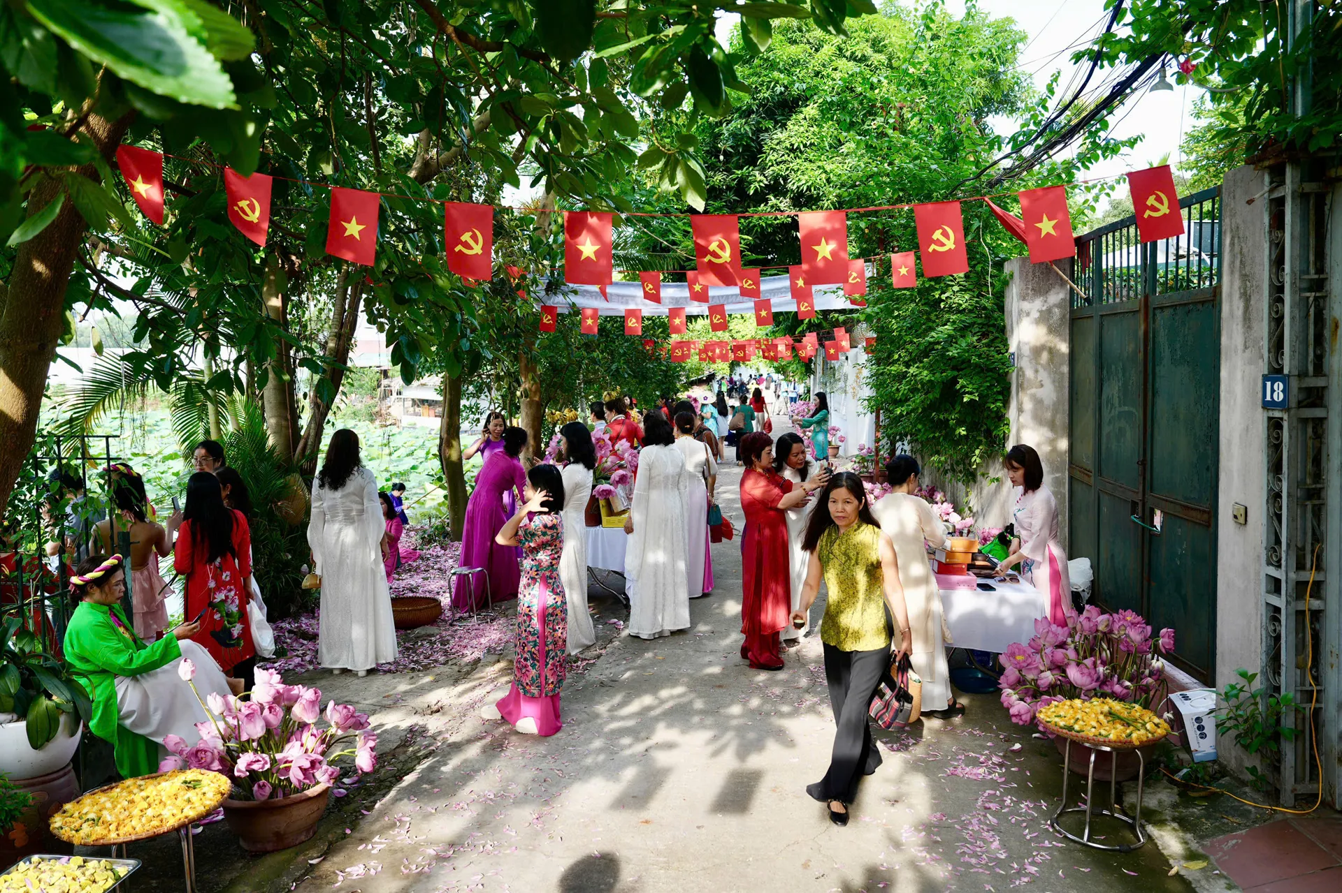 Hình ảnh 1
