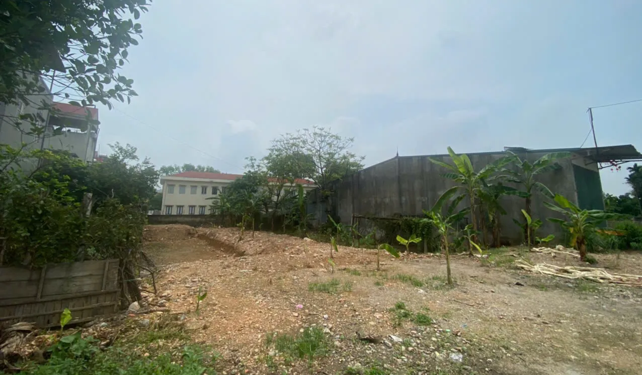 Hình ảnh 4