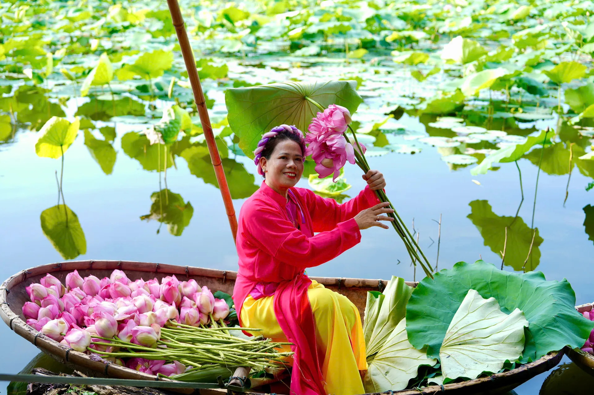 Hình ảnh 2