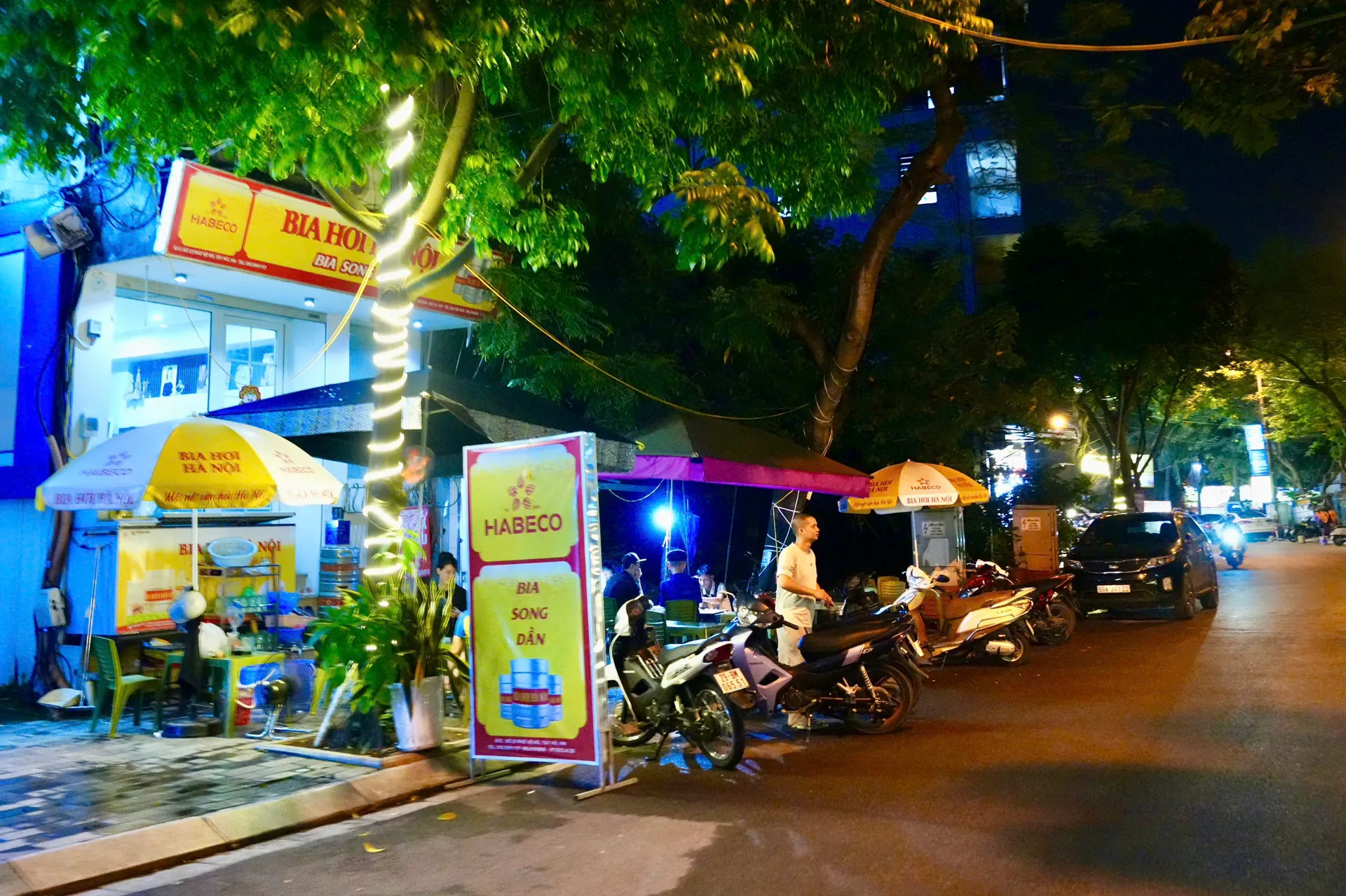 Hình ảnh 17