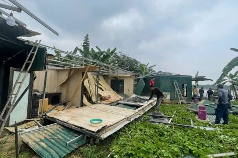 Xử lý vi phạm trật tự đô thị khu vực ngoài bãi sông Hồng tại Phú Thượng, Tây Hồ 
