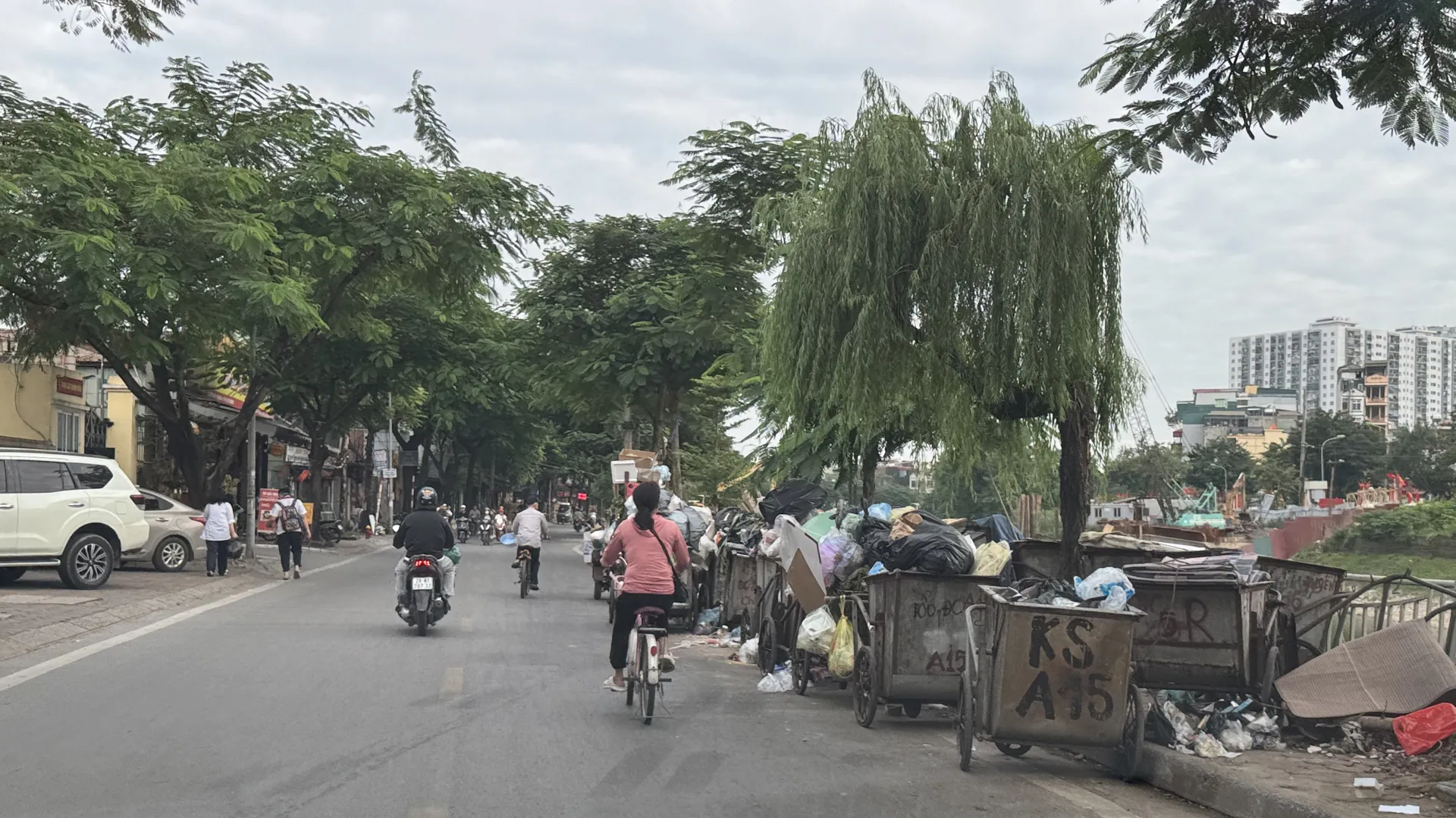 Hình ảnh 2