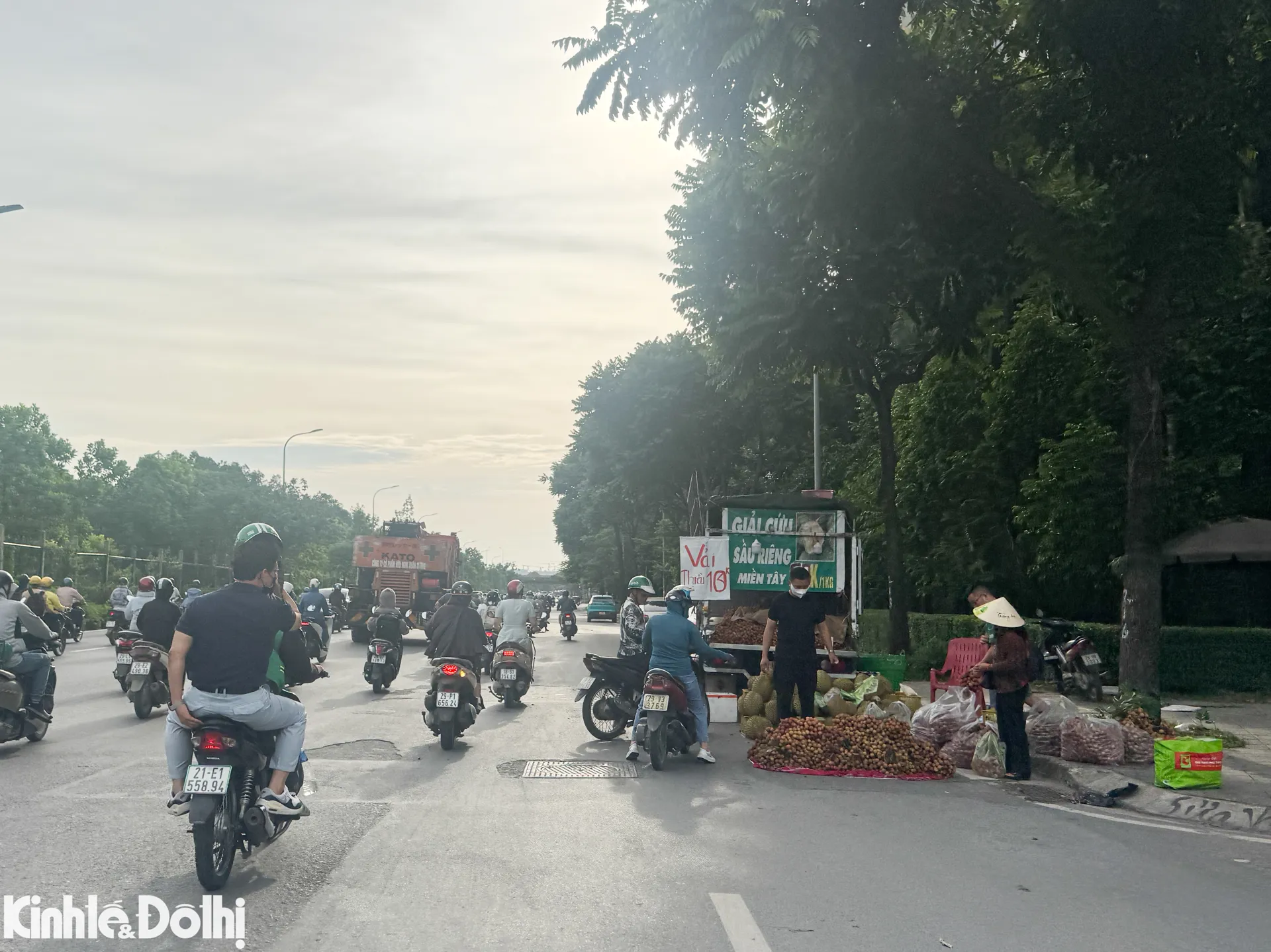Hình ảnh 3