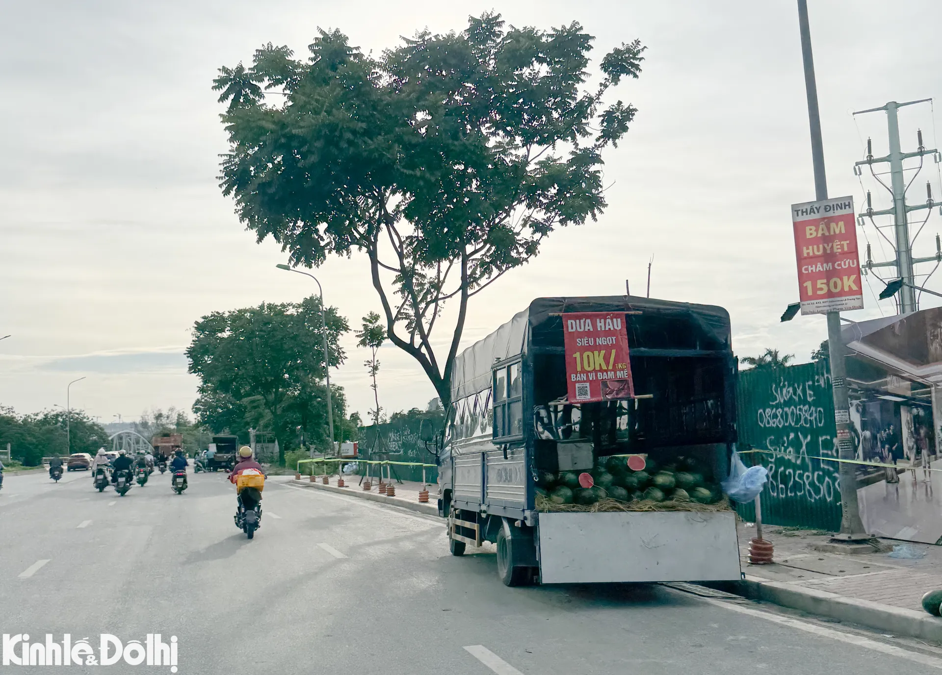 Hình ảnh 5