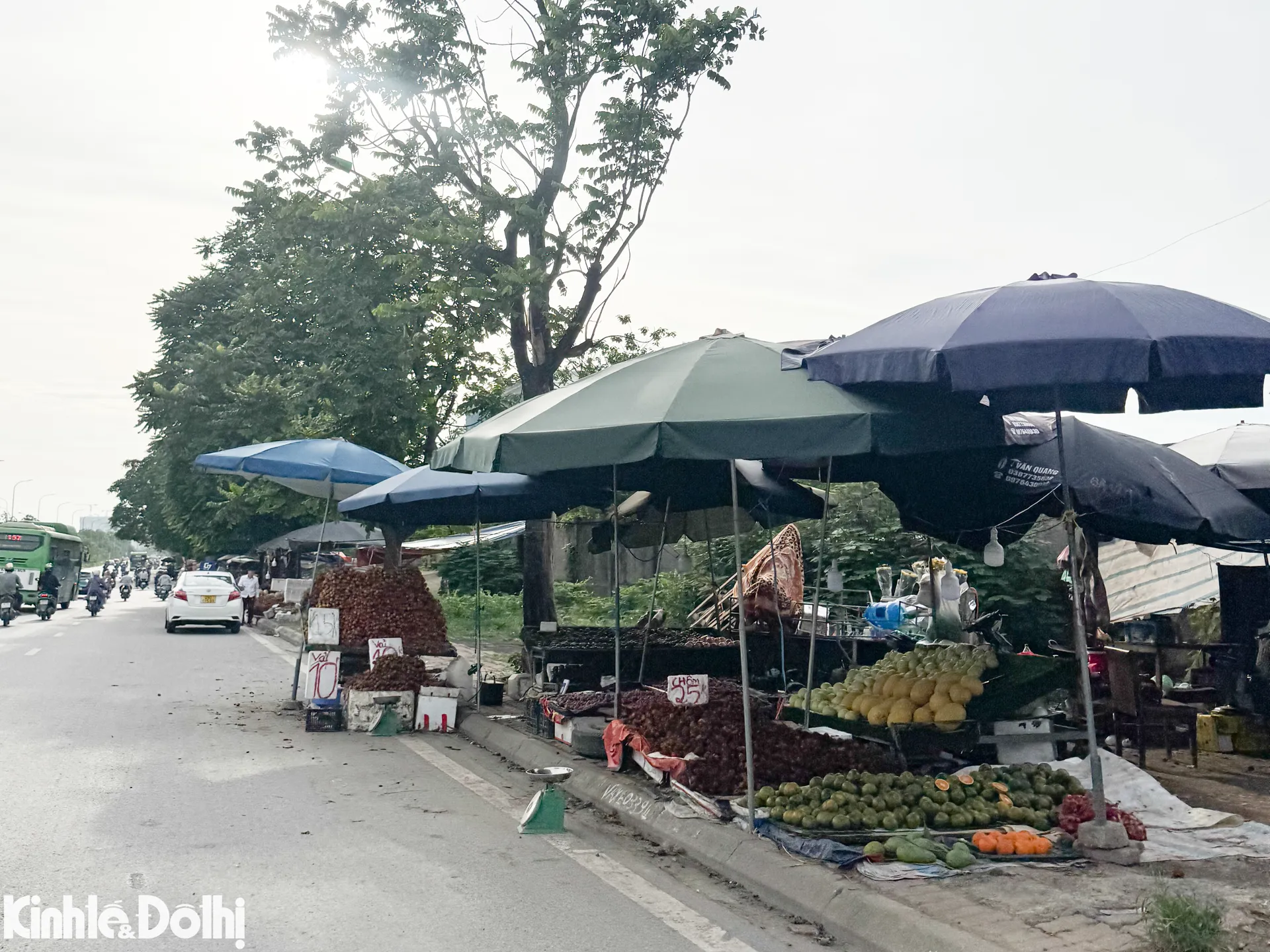 Hình ảnh 10