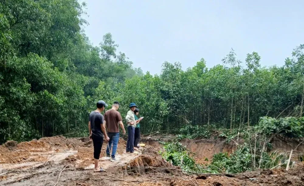 Ba Vì: xác định 4 đối tượng xúc trộm đất tại xã Cẩm Lĩnh