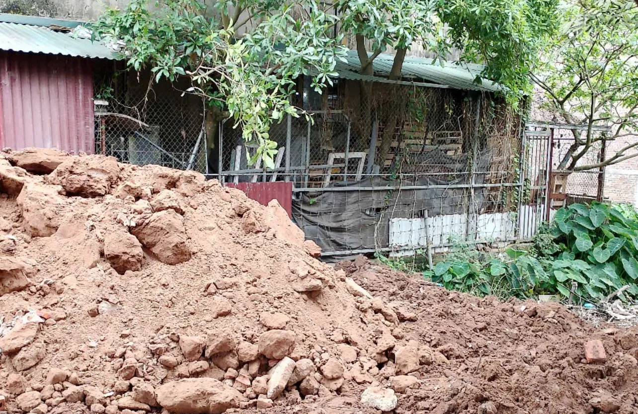 Hình ảnh 2