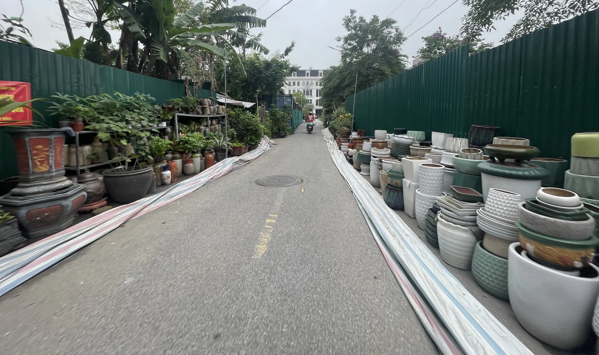 Hình ảnh 1