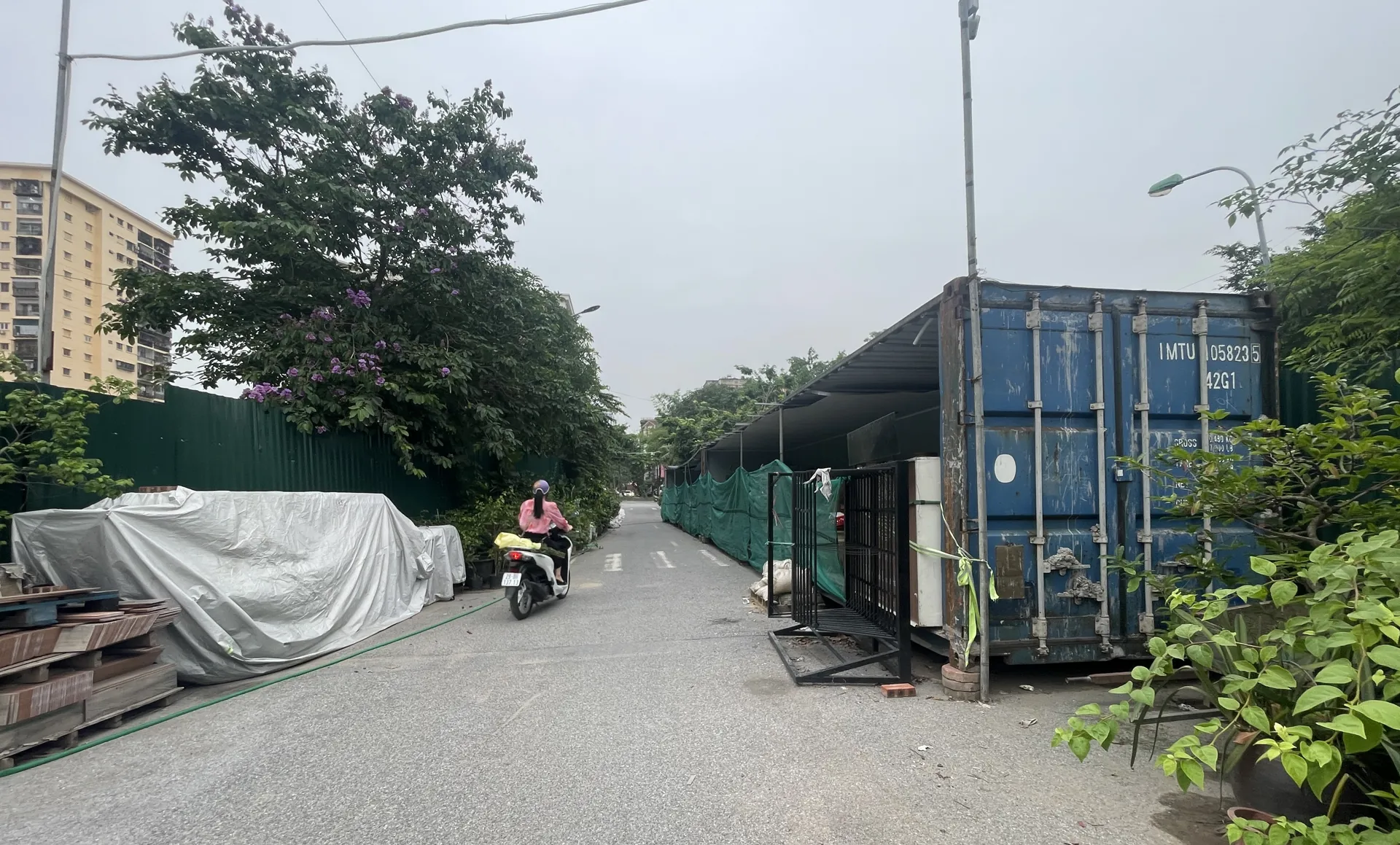 Hình ảnh 3