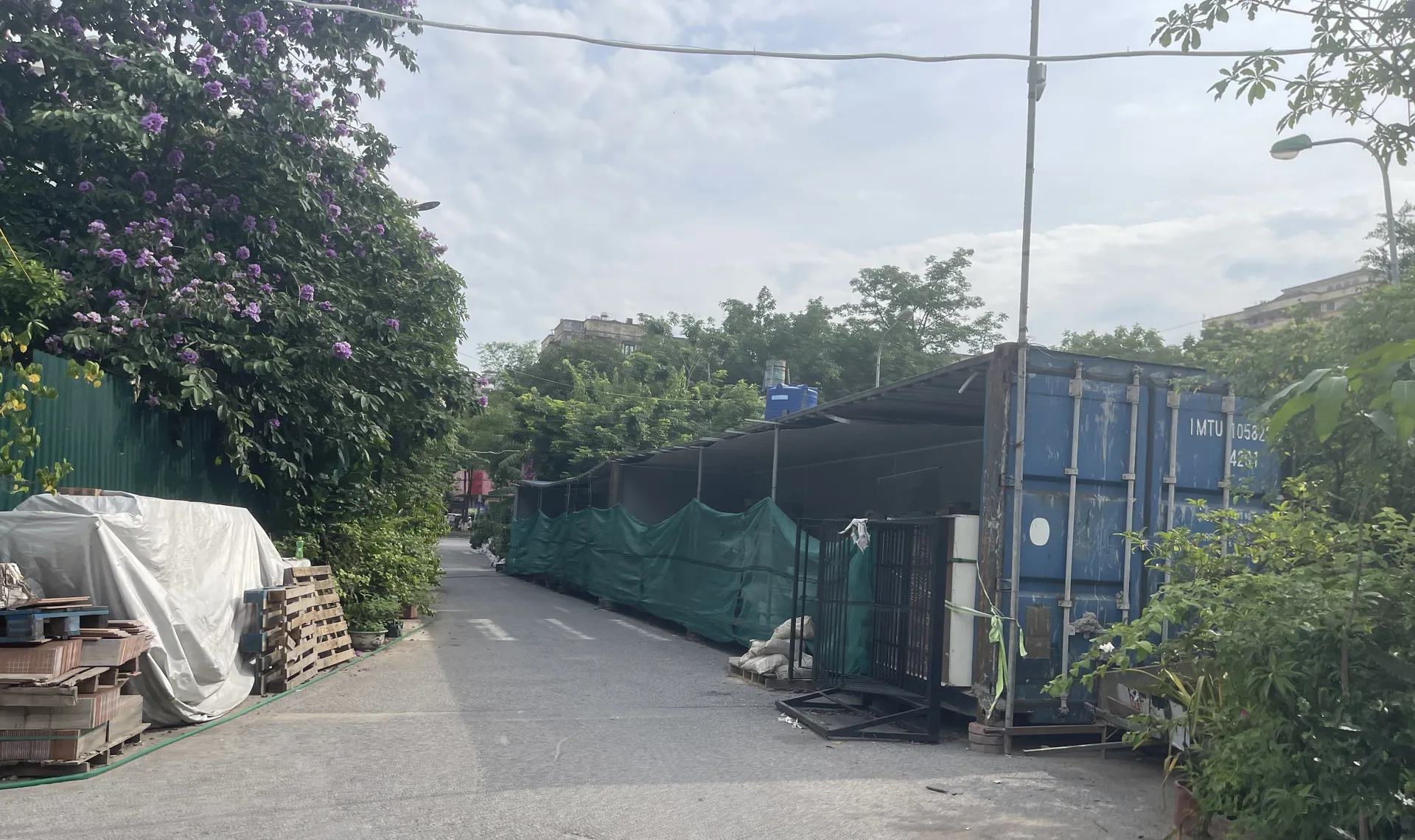 Hình ảnh 3
