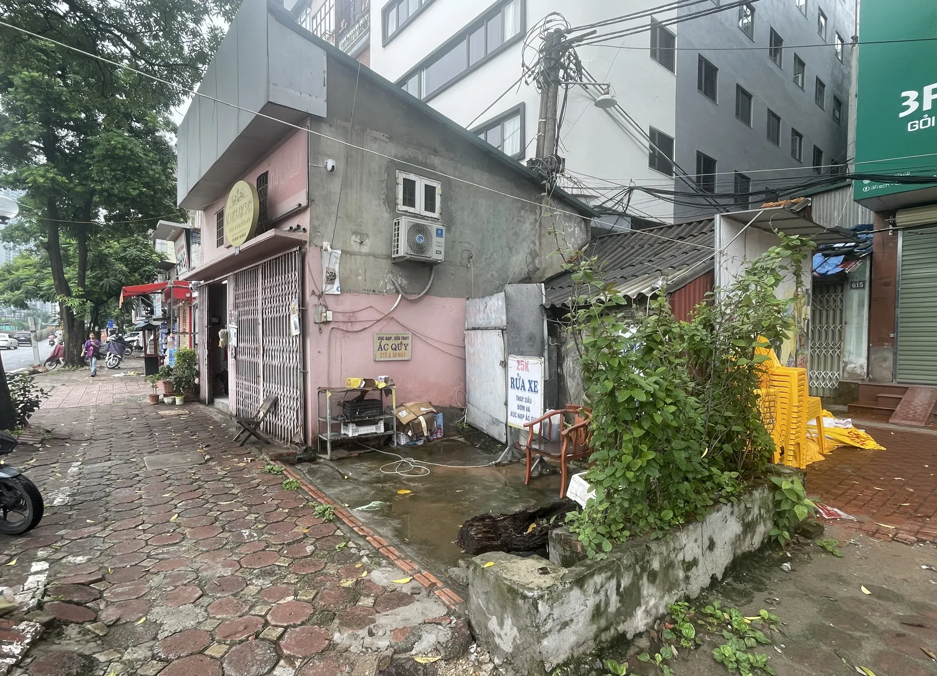 Hình ảnh 1