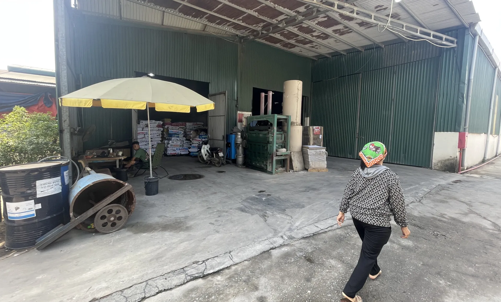 Hình ảnh 3