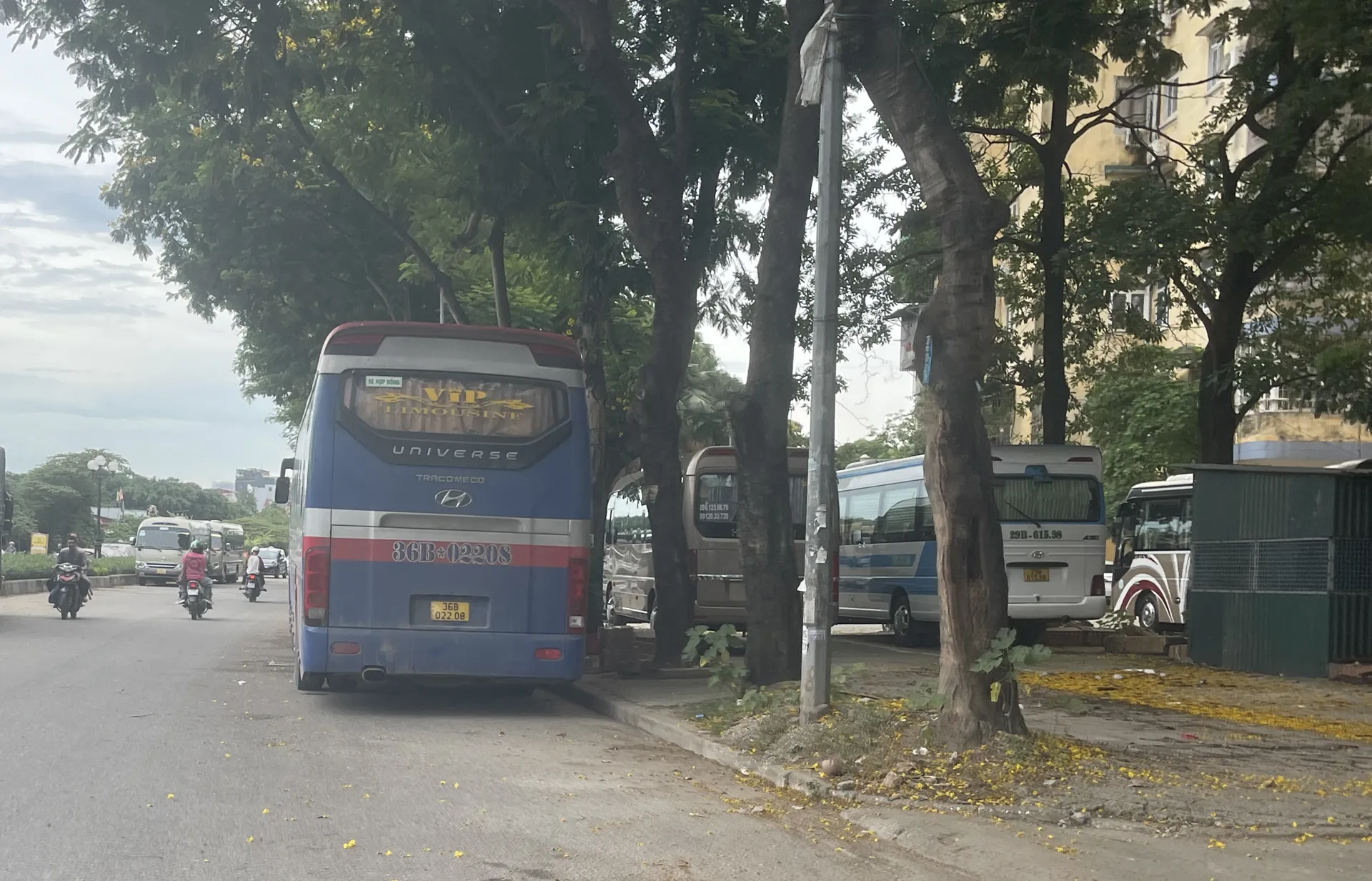 Hình ảnh 6