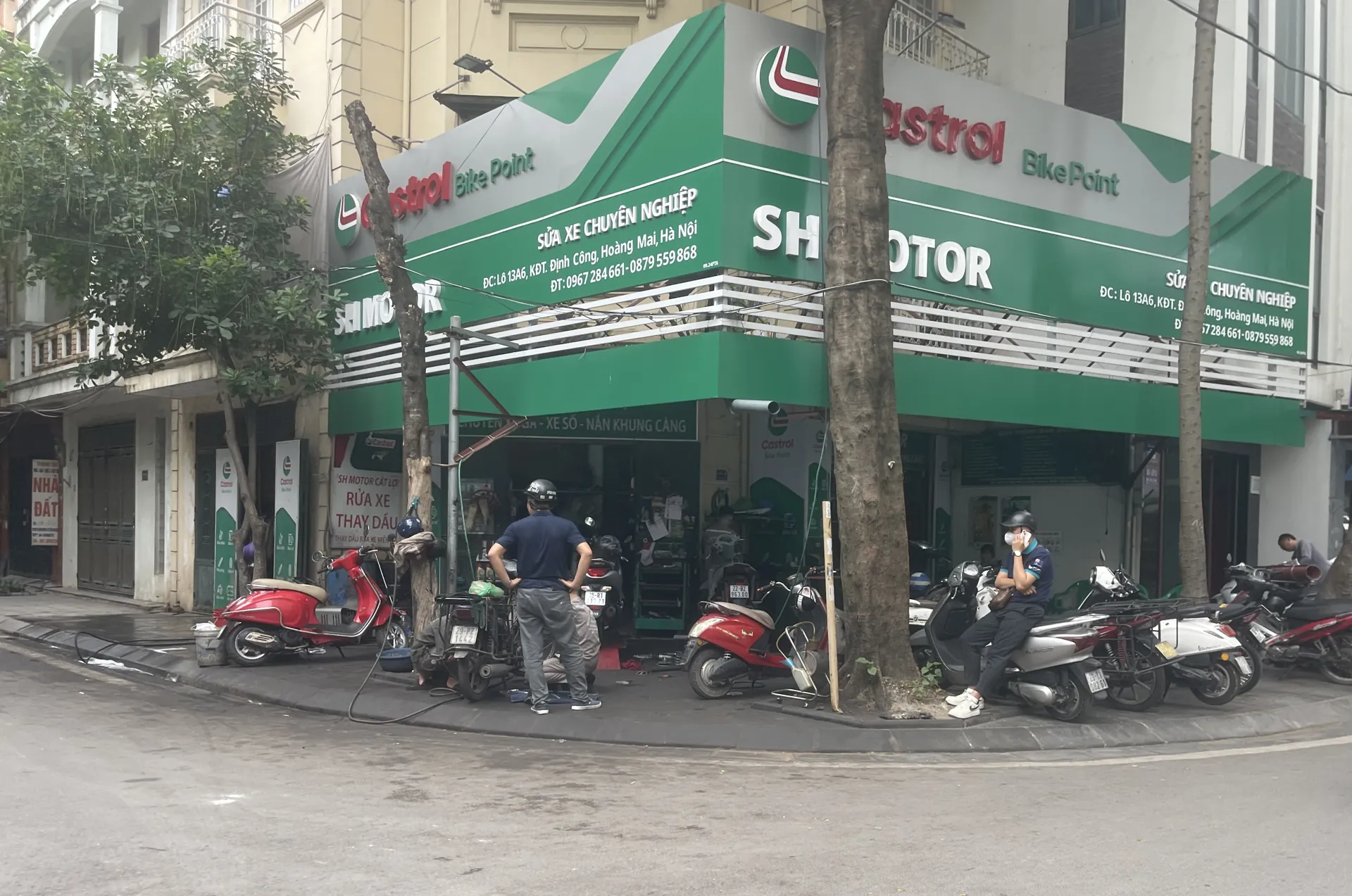 Hình ảnh 14