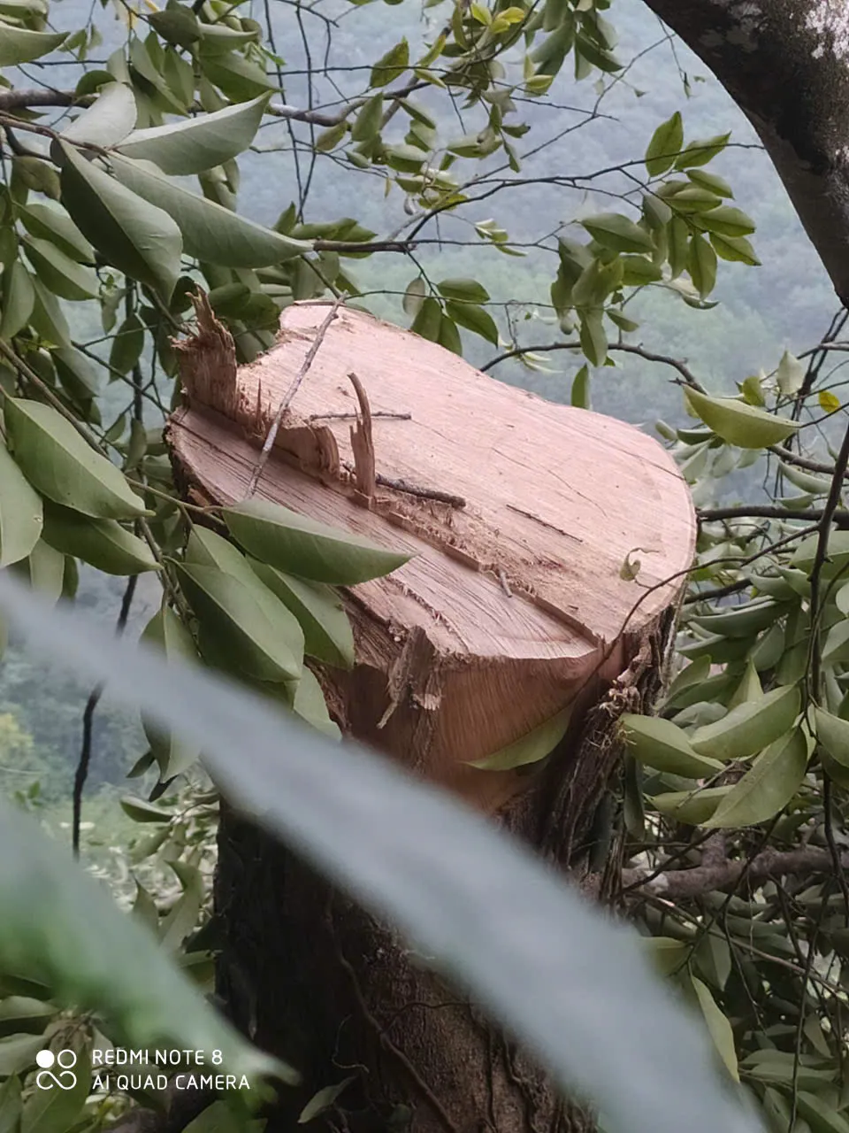 Hình ảnh 10 7b5cc76915349a6ac325