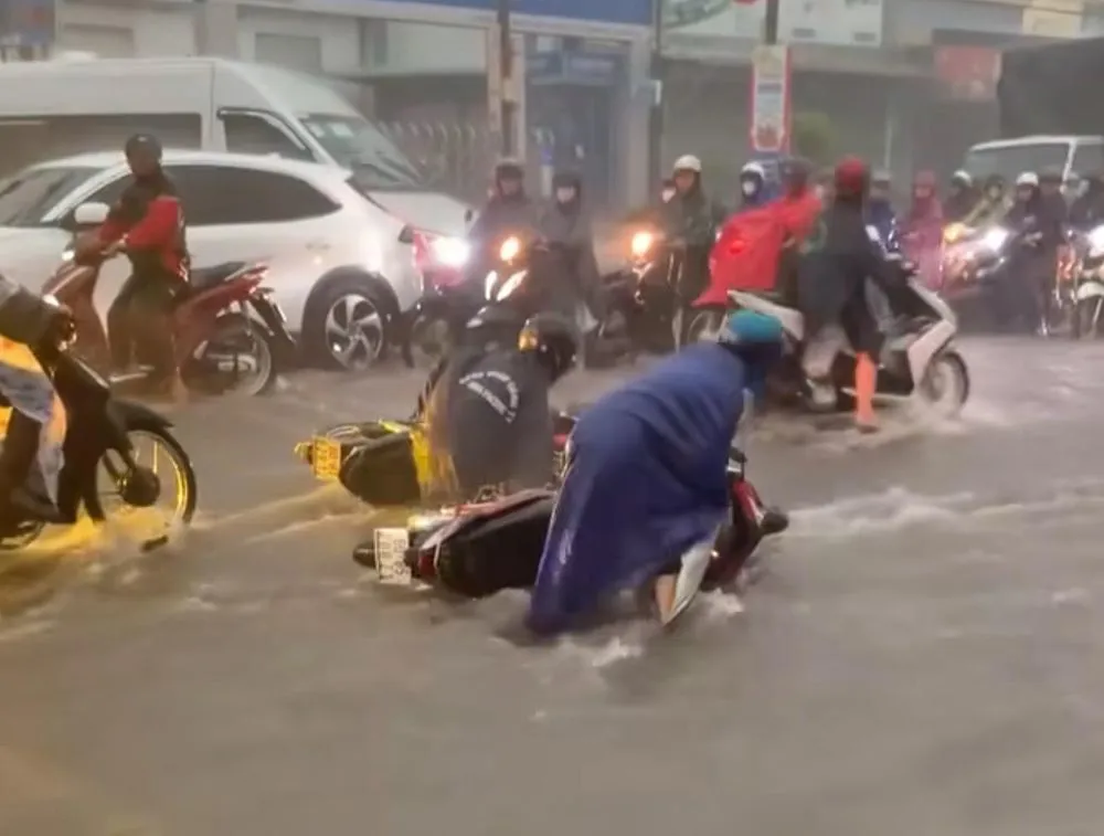 Hình ảnh 2