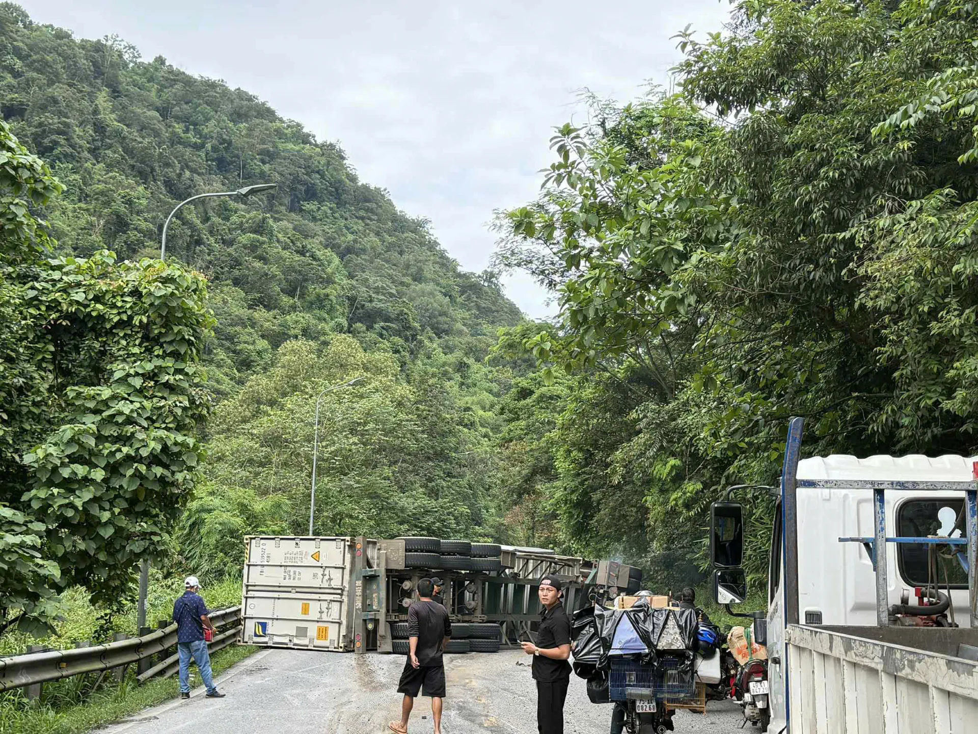 Hình ảnh 2