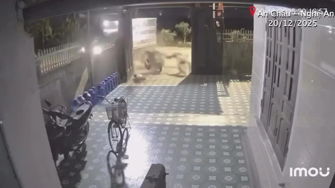 Tai nạn giao thông mới nhất ngày 21/12/2025: xe máy ''kẹp ba'' tông ô tô tải, 1 thiếu niên tử vong