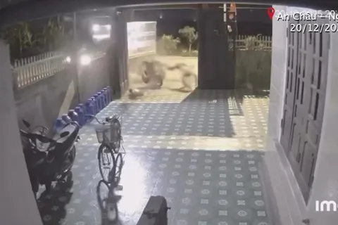 Tai nạn giao thông mới nhất ngày 21/12/2025: xe máy ''kẹp ba'' tông ô tô tải, 1 thiếu niên tử vong