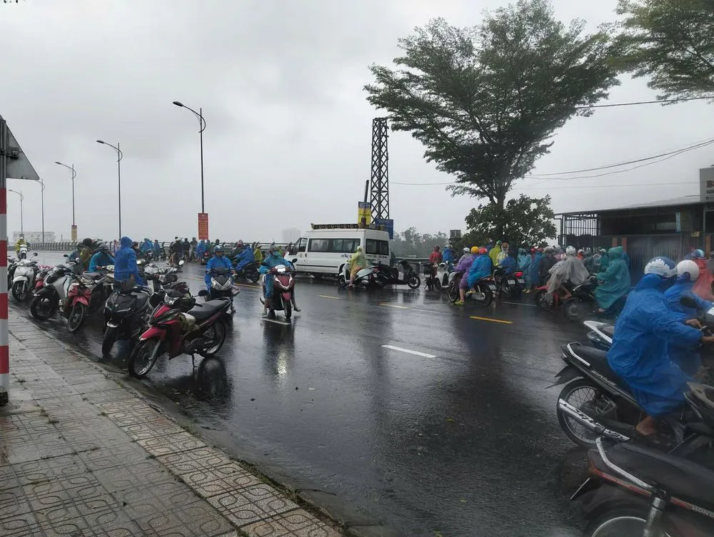 Hình ảnh 1