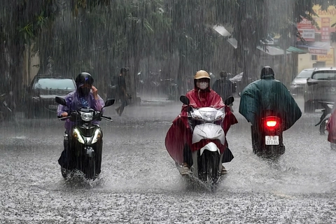 Ngành giao thông khẩn trương ứng phó với bão số 5

