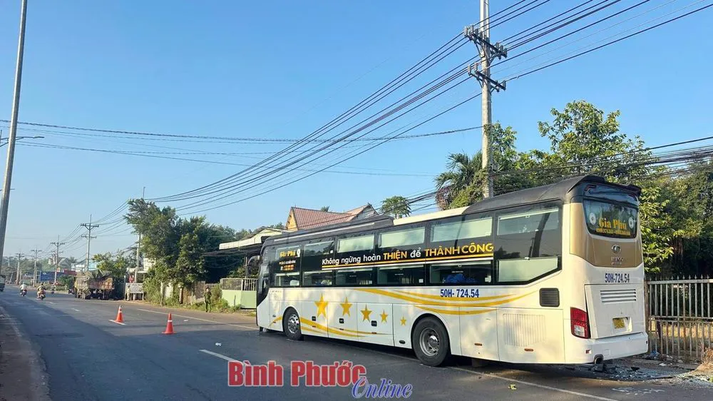 Hình ảnh 2