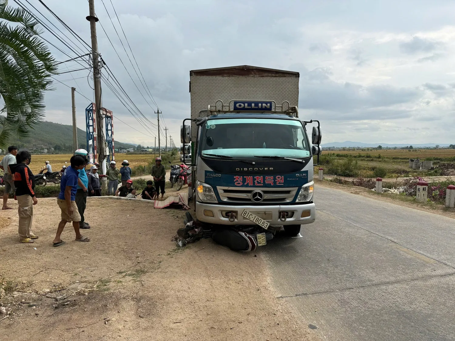 Hình ảnh 2