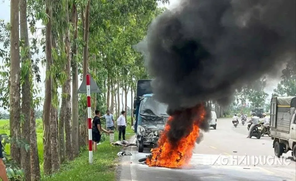 Hình ảnh 2