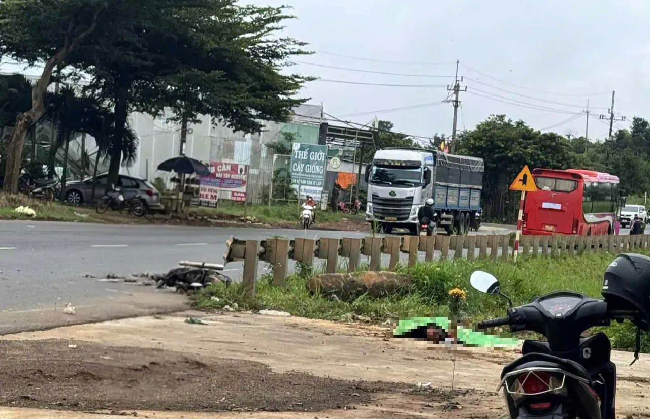 Hình ảnh 2