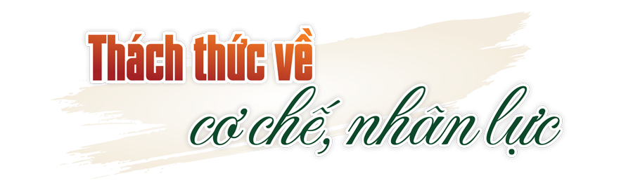 Hình ảnh 9