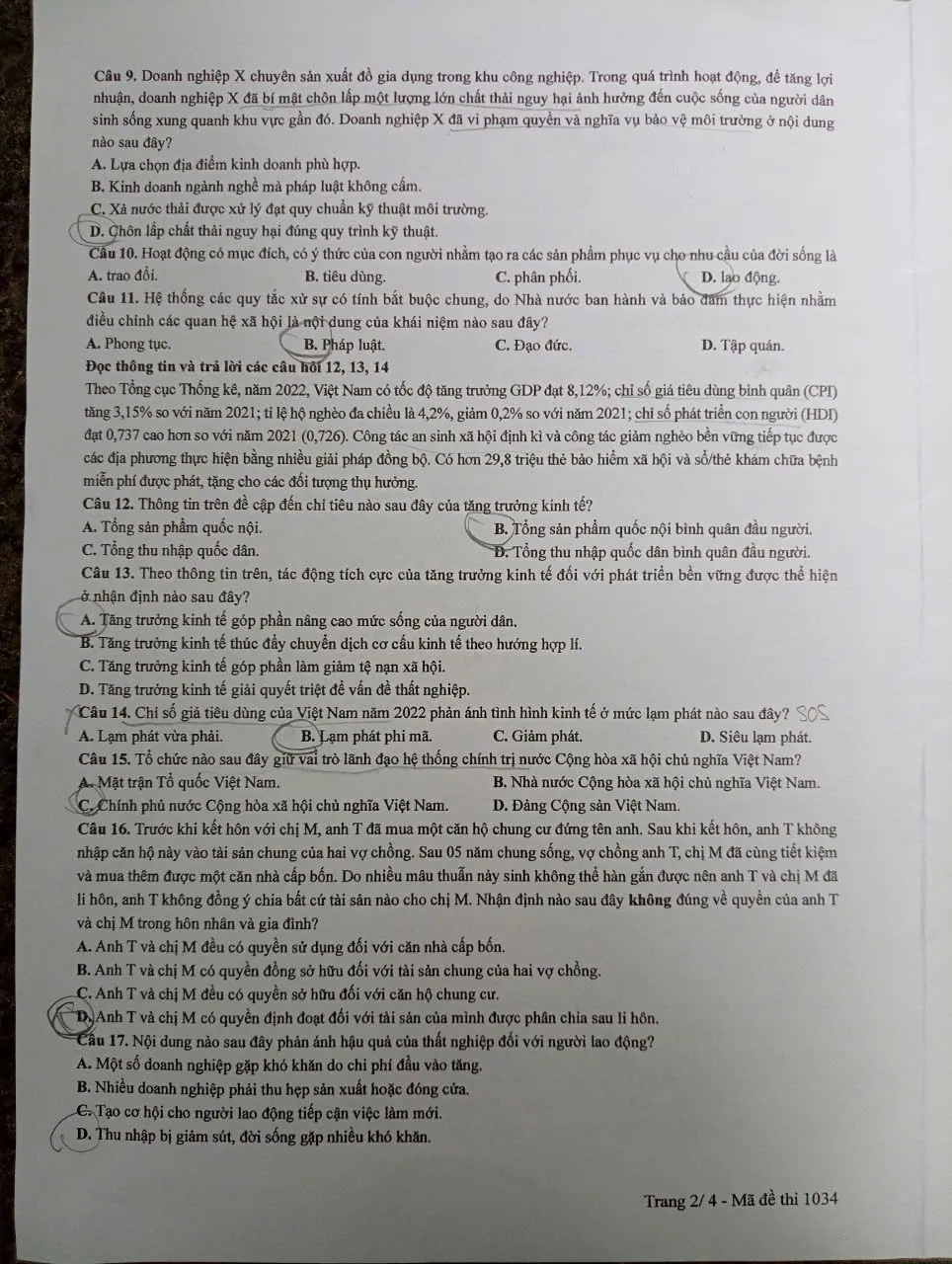 Hình ảnh 11
