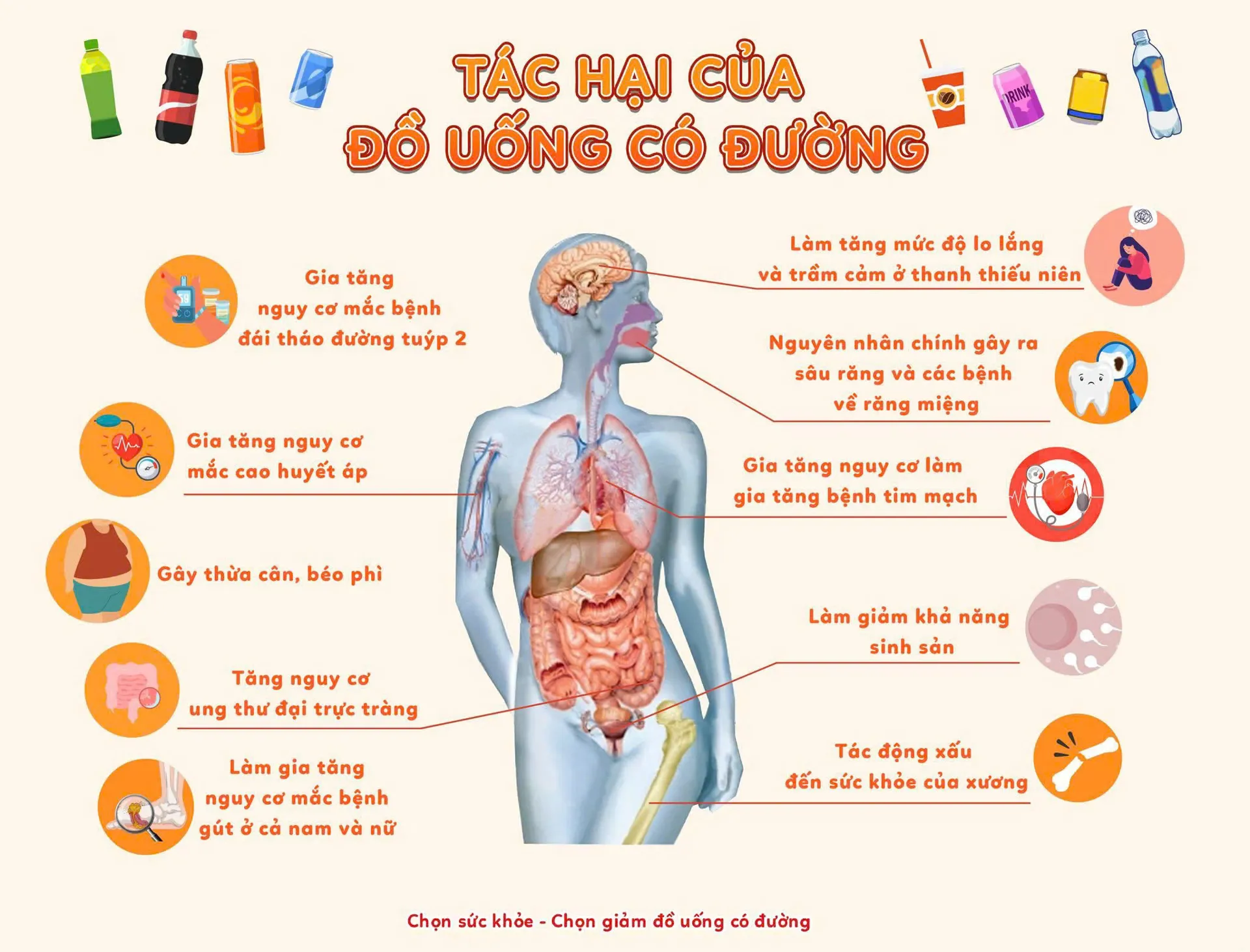 Hình ảnh 3