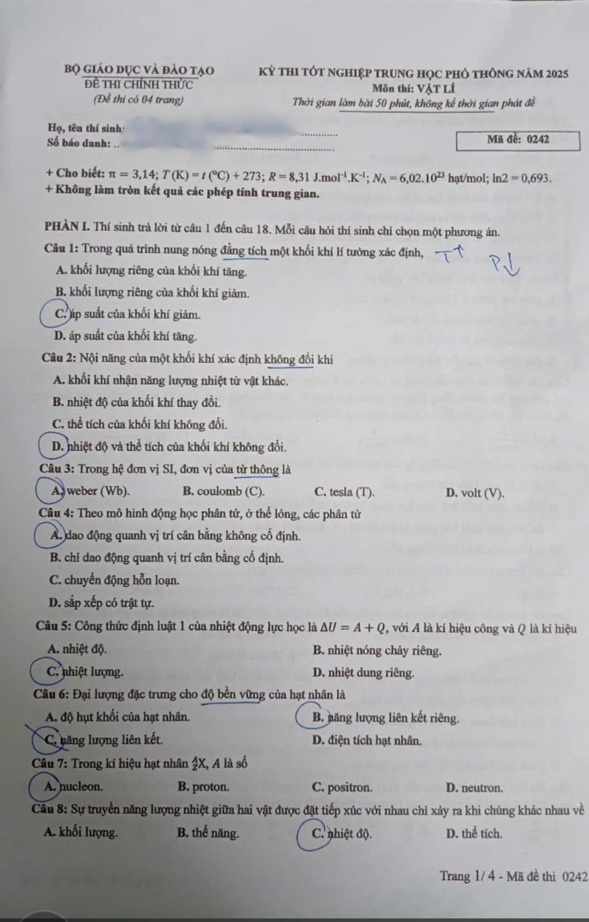 Hình ảnh 6